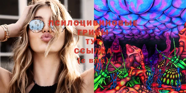 spice Армянск