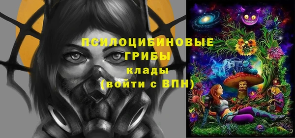 spice Армянск