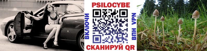 Галлюциногенные грибы MAGIC MUSHROOMS  Купить закладки  Сибай 